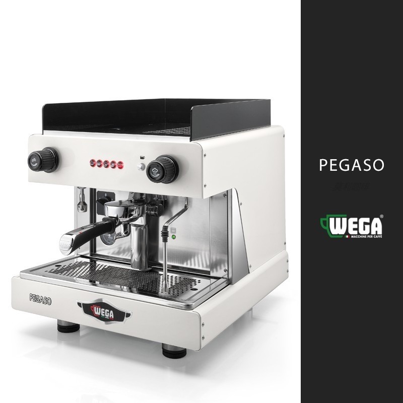 Italian original WEGA pegasoA1 Picasso single head e61 electronically controlled semi-automatic commercial espresso machine