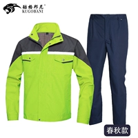 Весенний и осенний фруктовый зеленый набор