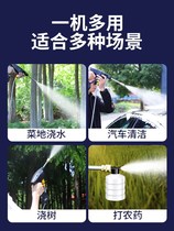 Vegetable fog machine farm sprayer water mist medicine tree fruit farmland lithium battery portable garden potion