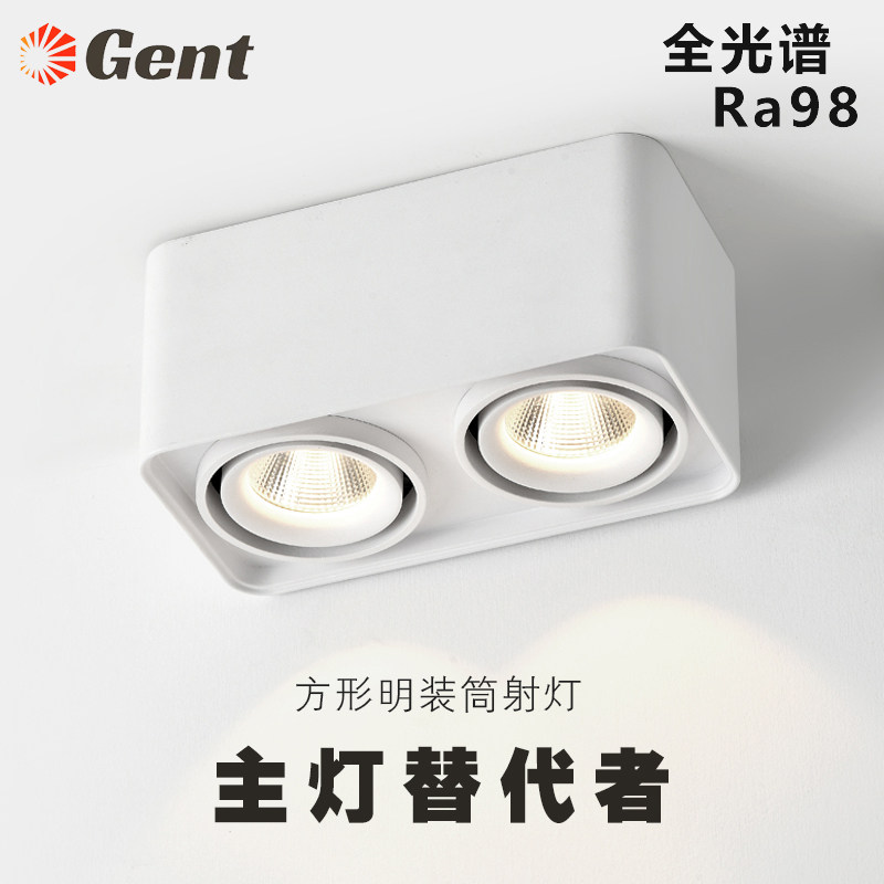 Surface mounted square spotlight full spectrum double head downlight ceiling bean gall lamp home living room bedroom without main light lighting