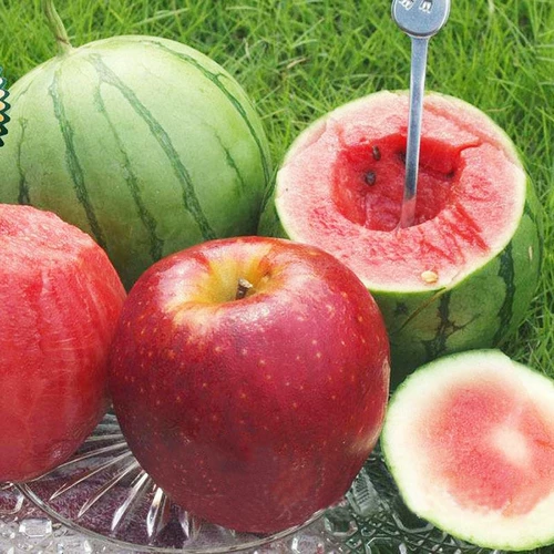 Яблочные семена арбуза, мини-суперсладкие красные семена арбуза, балкон, горшок, фермерский дом, двор, подарок, маленькие семена арбуза