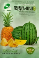 Семена арбуза Ананас МИНИ оригинальные 20 капсул