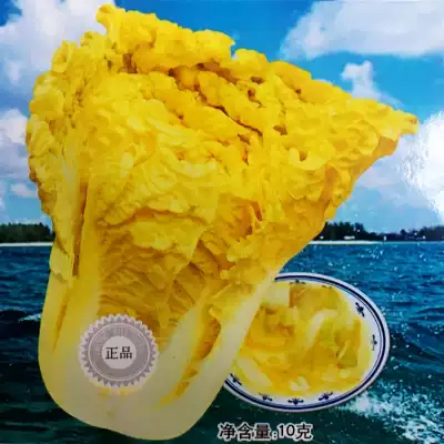 Egg yolk cabbage seed, yellow heart, Chinese cabbage, Four Seasons fast vegetable seeds, delicious, disease-resistant and high-yield vegetable seeds