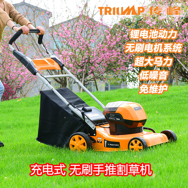 Transfer Peak Pushchair Mower Rechargeable Electric Mower Weeding Machine High Power Lawn Trimmer Pushmower-Taobao