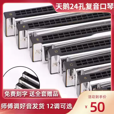 Swan brand 24-hole single polyphonic children and adults play harmonica#A B C D E F G tone 7 tone 12 tone musical instrument