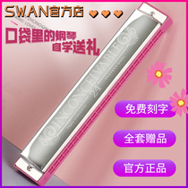 The harmonica 24 hole C tone of the beginner of the small swan pink blue man and woman portable instrument to give gifts