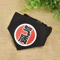 Темперамент