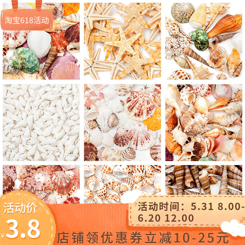 Natural Shells Sea Snail Sea Star Fish Tank Building Decoration Hem Decorated Children Handmade Diy Wind Bells Drift Bottle Material