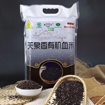 Xinjiang Tsaquhar quality rice (Tianquan fragrant organic black blood sticky rice) 10 catty of bagged natural ecological species