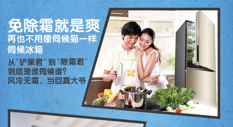 Ronshen / 容 BCD-249WD11DY cửa đôi hai cánh làm lạnh không khí làm lạnh không khí, tiết kiệm năng lượng tủ lạnh mini aqua