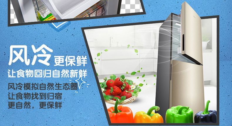 Ronshen / 容 BCD-249WD11DY cửa đôi hai cánh làm lạnh không khí làm lạnh không khí, tiết kiệm năng lượng tủ lạnh mini aqua
