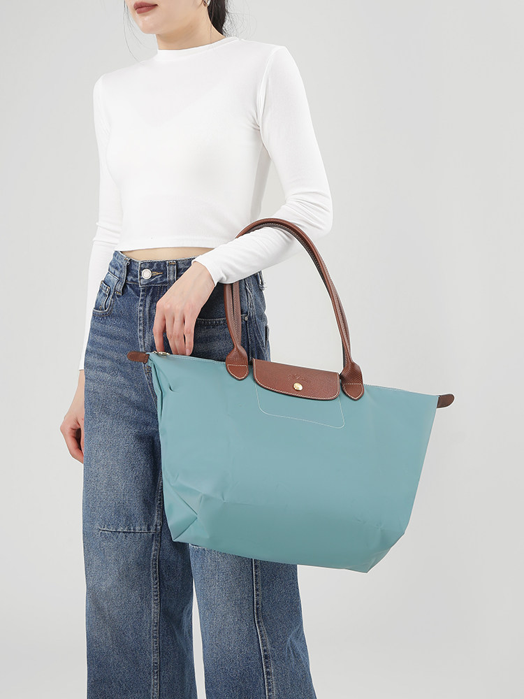 Longchamp Women's Large Foldable Handbag with Long Handle, Dumpling Bag, Tote Bag 1899