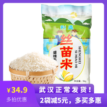 2020 new rice Jingsheng silk seedling rice 5kg 10 kg farm long grain rice non-polished silk seedling rice indica rice