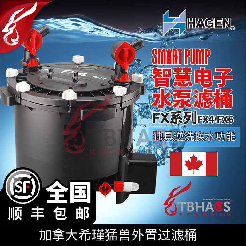 Made in Italy Xijin Fuhua FX4 FX6 Beast large electronic pump filter barrel dragon fish tank SF