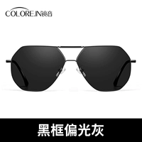 [Многосторонняя модель] Черная рама + плоская поляризованная серая (5061)