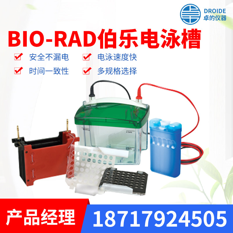 American BOLE BIO-RAD electrophoresis tank Electrophoresis instrument Vertical electrophoresis tank Transfer tank Protein tank First-class agent