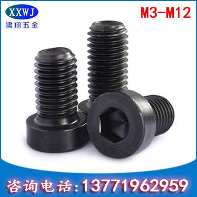 M3-M128 8 grade high strength thin head inner hexagonal screw DIN7984 short head flat head screw