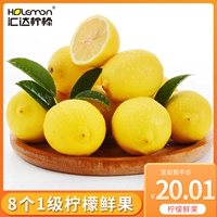 Huida Lemon First -Class 8 Установленные лимонные свежие фрукты свежие фрукты.