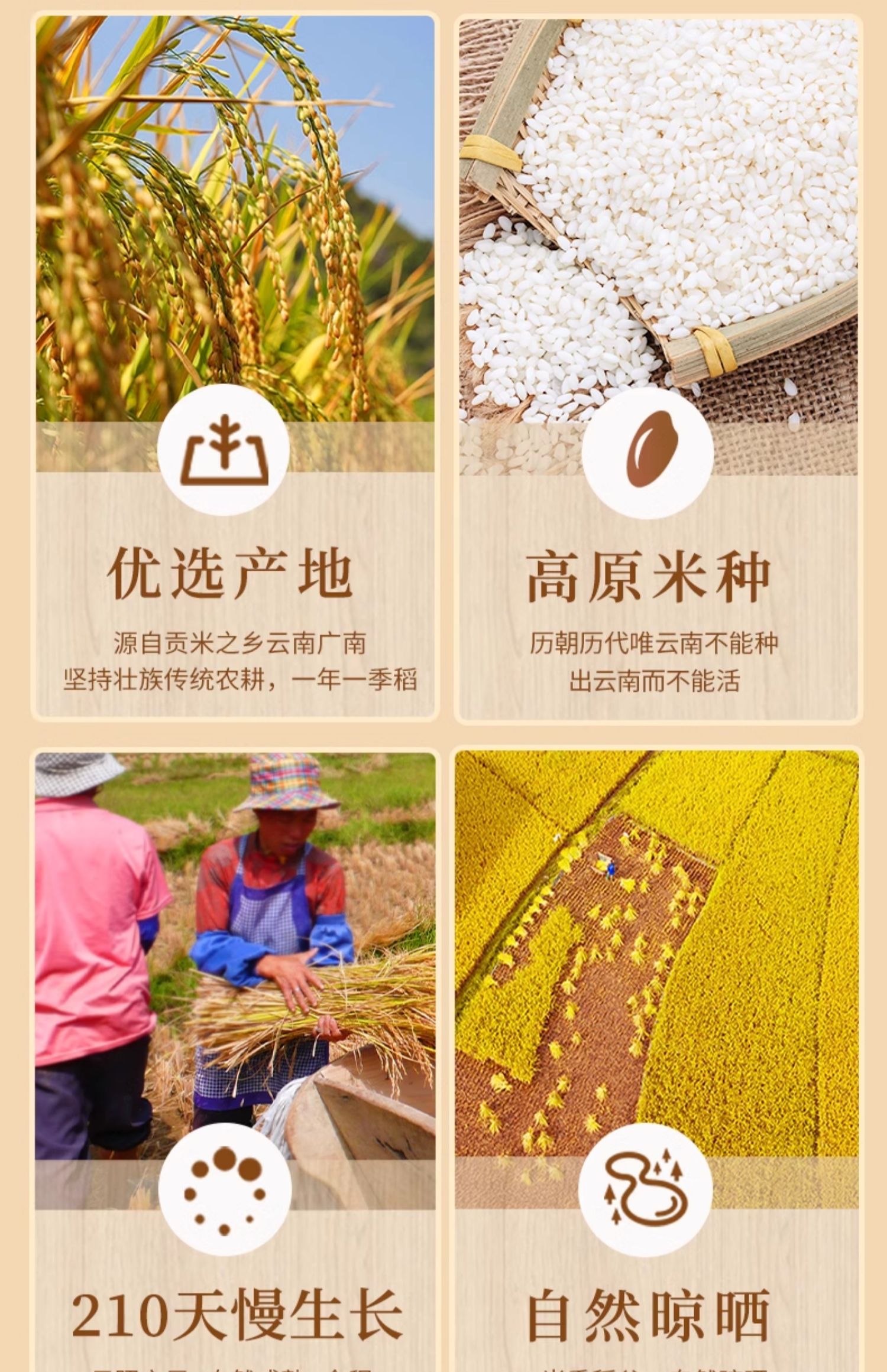 安享好物 安享B级粳米-八宝贡羊玉脂米 企标 