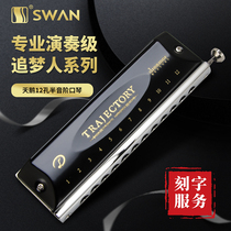 Swan Dreamcatcher Haliton harmonica 12 holes 16 holes C tune Beginners Students Adult Advanced Professional Performance Level