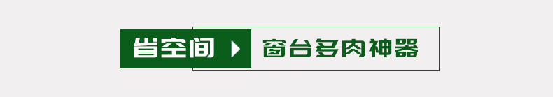 Bệ cửa sổ nhiều hoa nhỏ giá nhiều tầng giá thịt trong nhà ban công bay cửa sổ nhà mới phòng khách kệ hoa - Kệ kệ inox treo tường