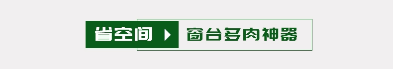 Bệ cửa sổ nhiều hoa nhỏ giá nhiều tầng giá thịt trong nhà ban công bay cửa sổ nhà mới phòng khách kệ hoa - Kệ kệ sách đứng