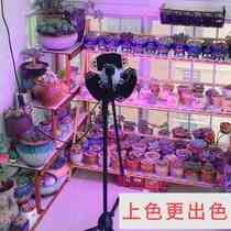 Guixiang Plant Tonic Light Lamp Full Spectrum Vegetable Greenhouse greenhouse Indoor Multi-Coloured Orchid Imitation Sun Growth Lamp