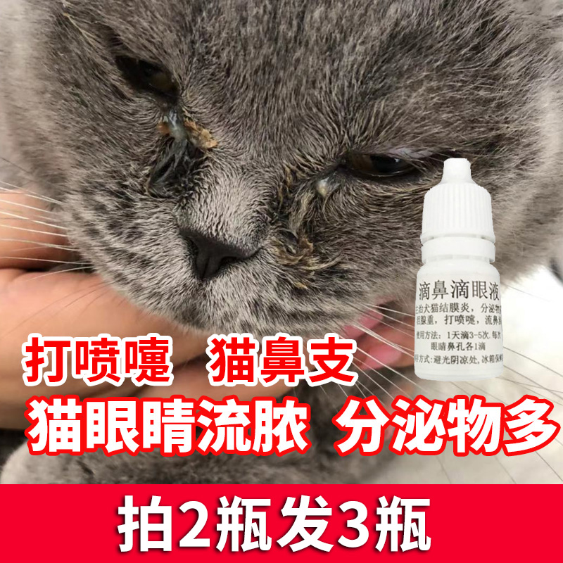 Cat nose branch cat sneezing runny nose snot many tears eye sputum eye drops nasal drops 5ml