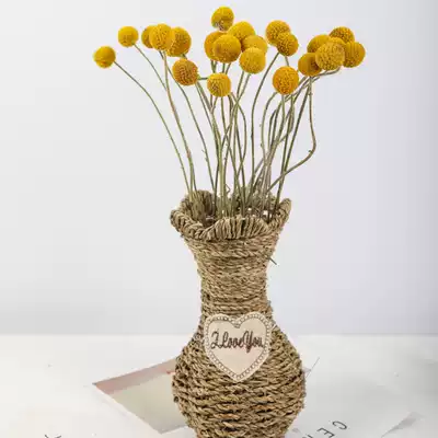 Yunnan Kunming natural dry flower golden ball bedroom ornaments diy flower dry flower living room European style