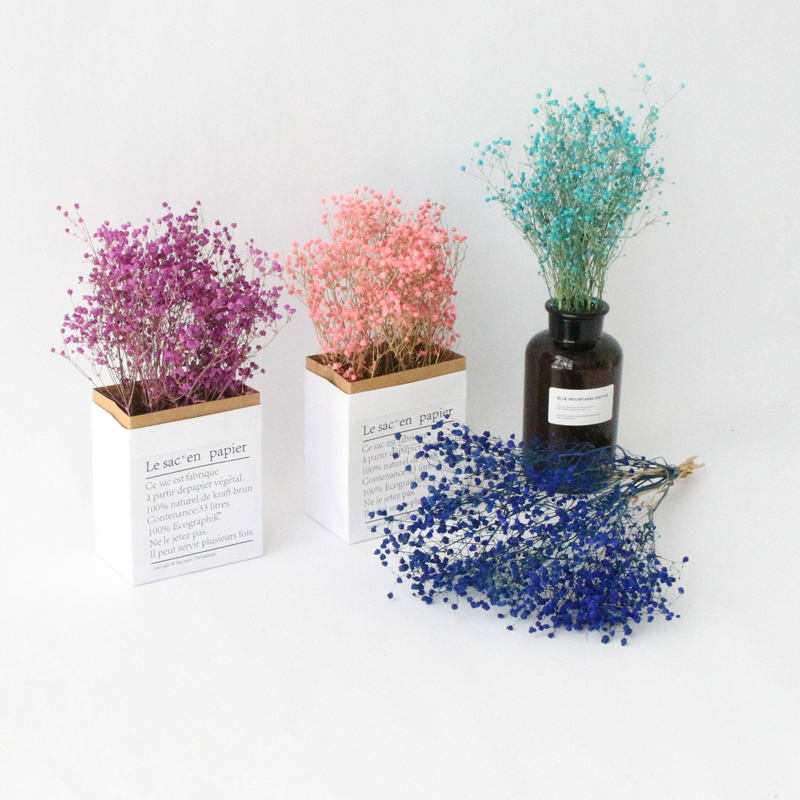 Full Stars Dry Flower Drying Bouquet Home Furnishing Small Freshens Nordic Wind Mesh Red Flowers Bouquet Dry Flowers Mix