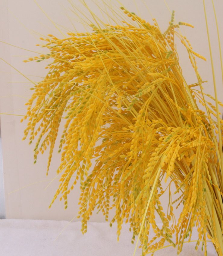 Simulation of fake rice rice spike plastic rice farm decoration of fake rice rice crop props rice wheat