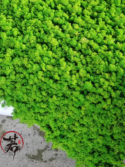 Simulated Moss, Green Moss, Jungle Bonsai, Eternal Deer Antler Moss, Background Wall, Artificial Moss Plant Wall, Flocking