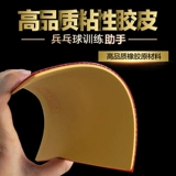 Популярные губчатые гермель -гер -гер -герт -тепло настольный теннис