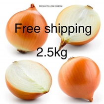 promotion fresh yellow onion fresh yellow onion salad vegetable 2 5kg