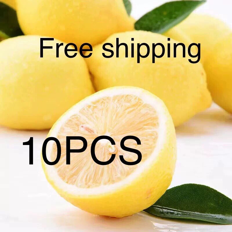 10 pcs fresh lemon fruit juicy fruits green food
