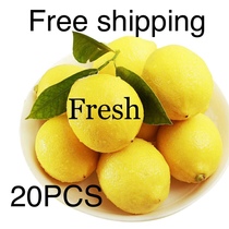 20 pcs fresh lemon fruit juicy fruits green food新鲜柠檬20个