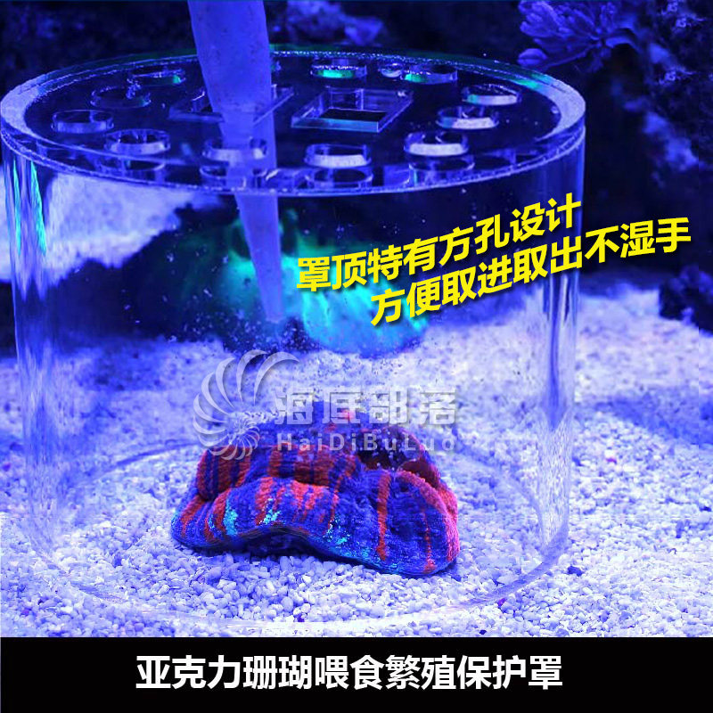 Fish tank acrylic coral feeding cover feeder Frisbee brain feeding coral cover fish tank observation box isolation box