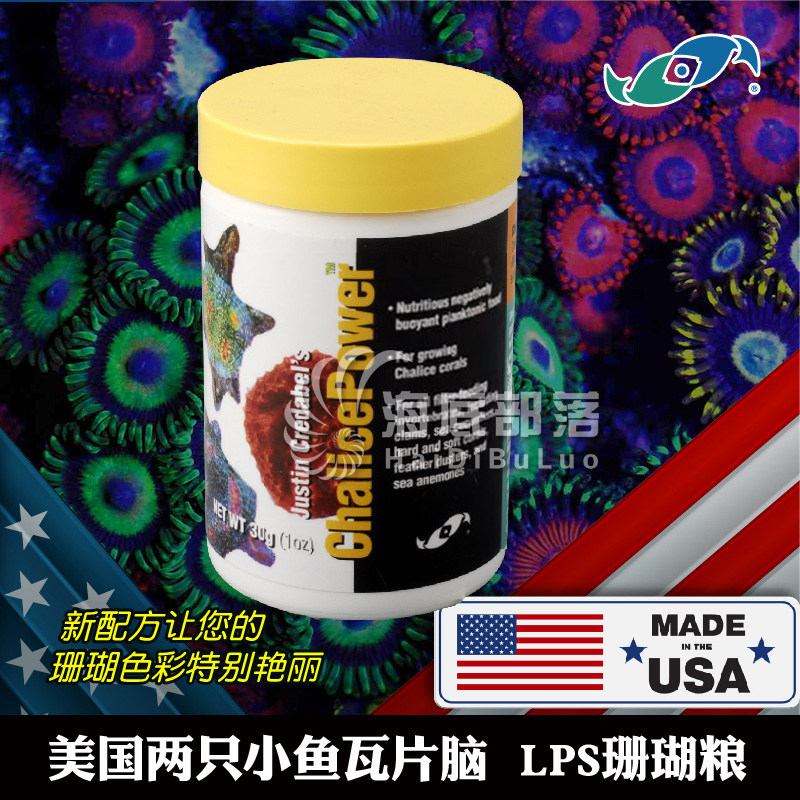 US Two Small Fish Seawater Fish Tank Tiles Brain Coral Yang Color Software LPS Coral Grain