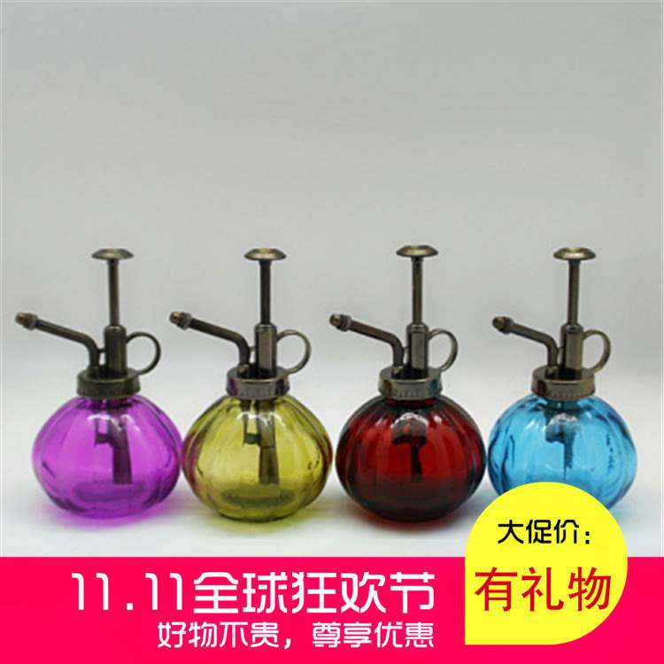 多肉植物专用小型压力喷壶  气压式喷雾器洒水壶浇花花卉种子