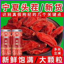 Authentic Ningxia wolfberry 500g Ke Zhongning Super Dog machine Zhongwei no sulfur and no dyeing wild bulk wolfberry tea