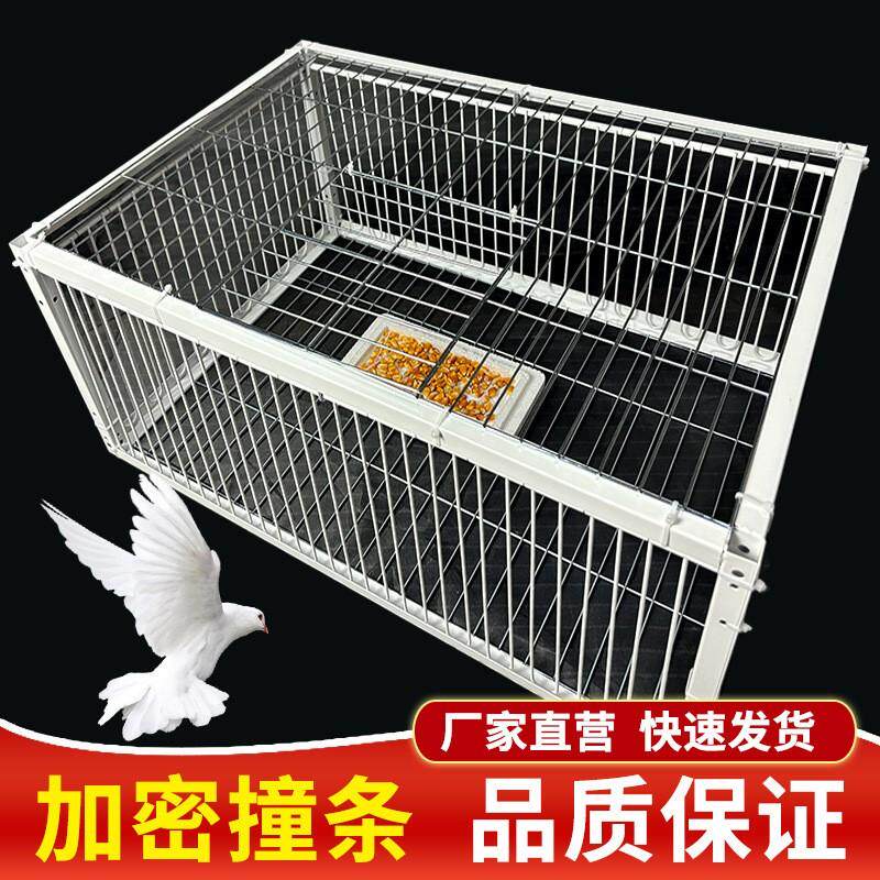 捕鸽神器让你轻松捕获！🚀新手必备的加密天落鸽笼诱捕陷阱笼 pigeon-catching tool 🦩-鸟笼-淘宝好物网