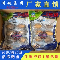 Live frozen abalone heated ready-to-eat seafood aquatic abalone 10 packs 100 pieces from Jiangsu Zhejiang Shanghai and Anhui