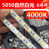 4000K neutral light natural white LED light with 12V 24V5050 soft light with lighting waterproof interior decoration