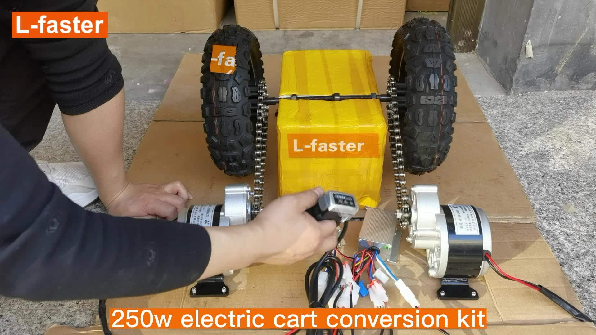 Diy Dual Drive Wheel 250w 24v Electric Platform Trolley Barrow Hand