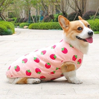 Клубника, удерживающий тепло жилет