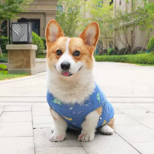 Демисезонный бархатный пуховик, удерживающий тепло жилет, осенний сезон, увеличенная толщина