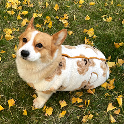 Corgi Clothes Pet Dog Autumn and Winter Vest Warm Fleece Sleeveless Medium-Sized Dog French Bulldog Button Style