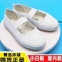 Qingdao Globe Small White Shoes Men And Women Events White Shoes Sails Cloth Shoes Pure White Working Shoes Nurses Shoes Workshop Working Shoes