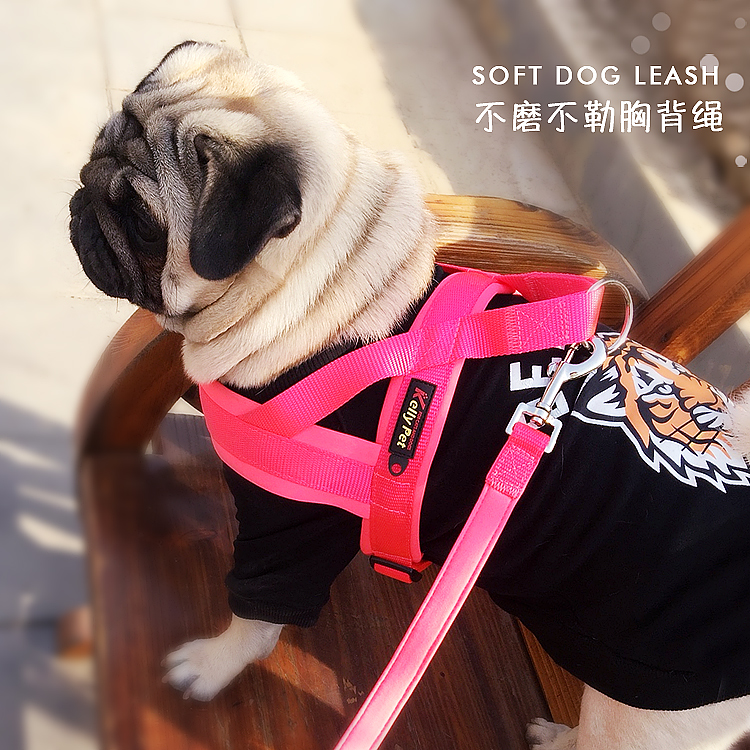 Dog traction rope chest holding baby bag French fighting pug Corgi Labrador medium dog large dog walking dog rope dog chain