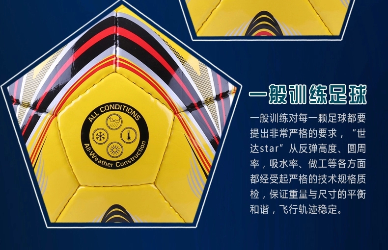 Ballon de football - Ref 5466 Image 11